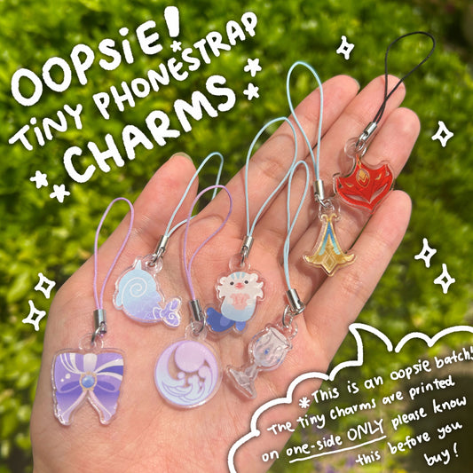 Oopsie ! Tiny phone charms